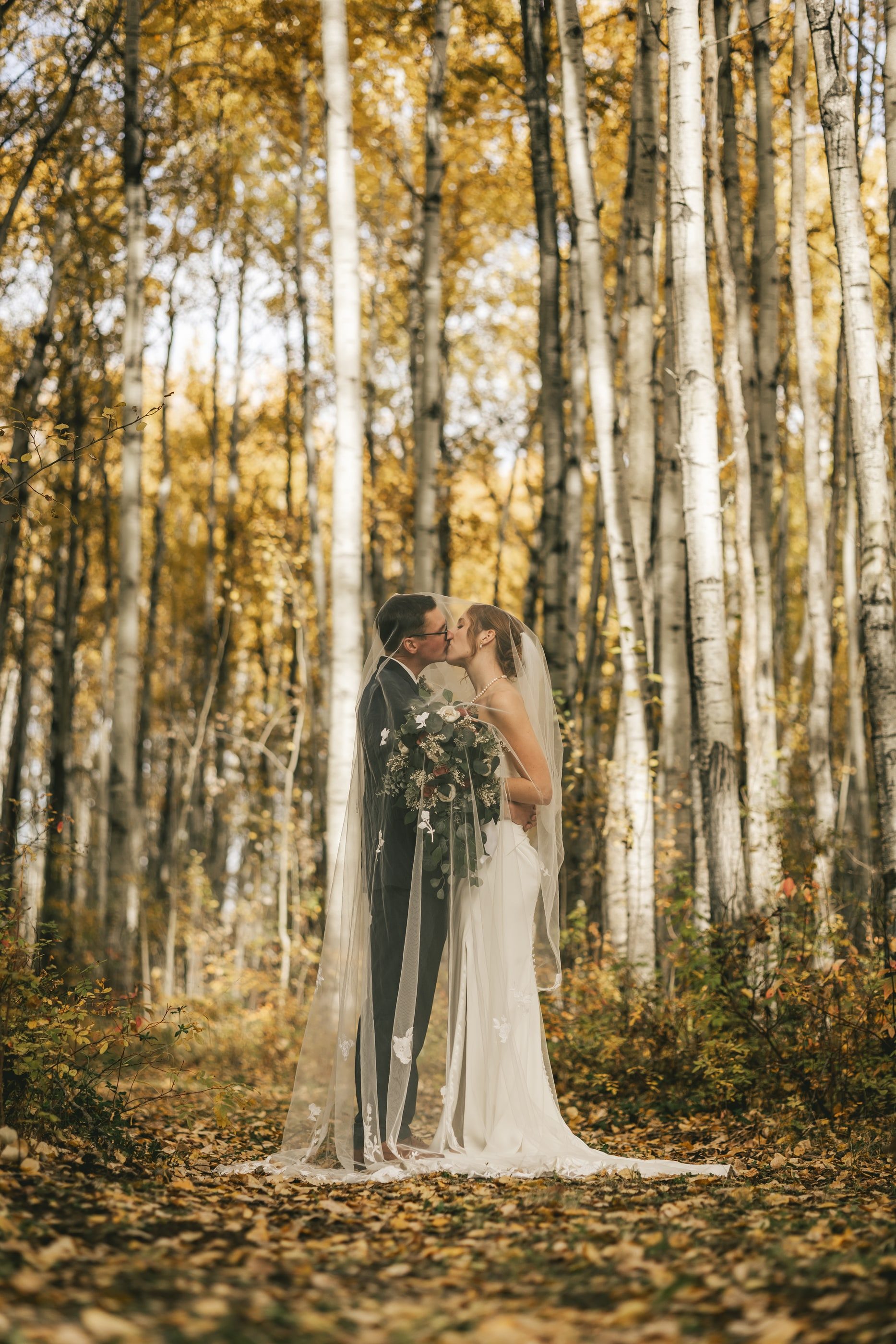 A bride and groom kiss among golden autumn birches, her veil trailing to the forest floor.