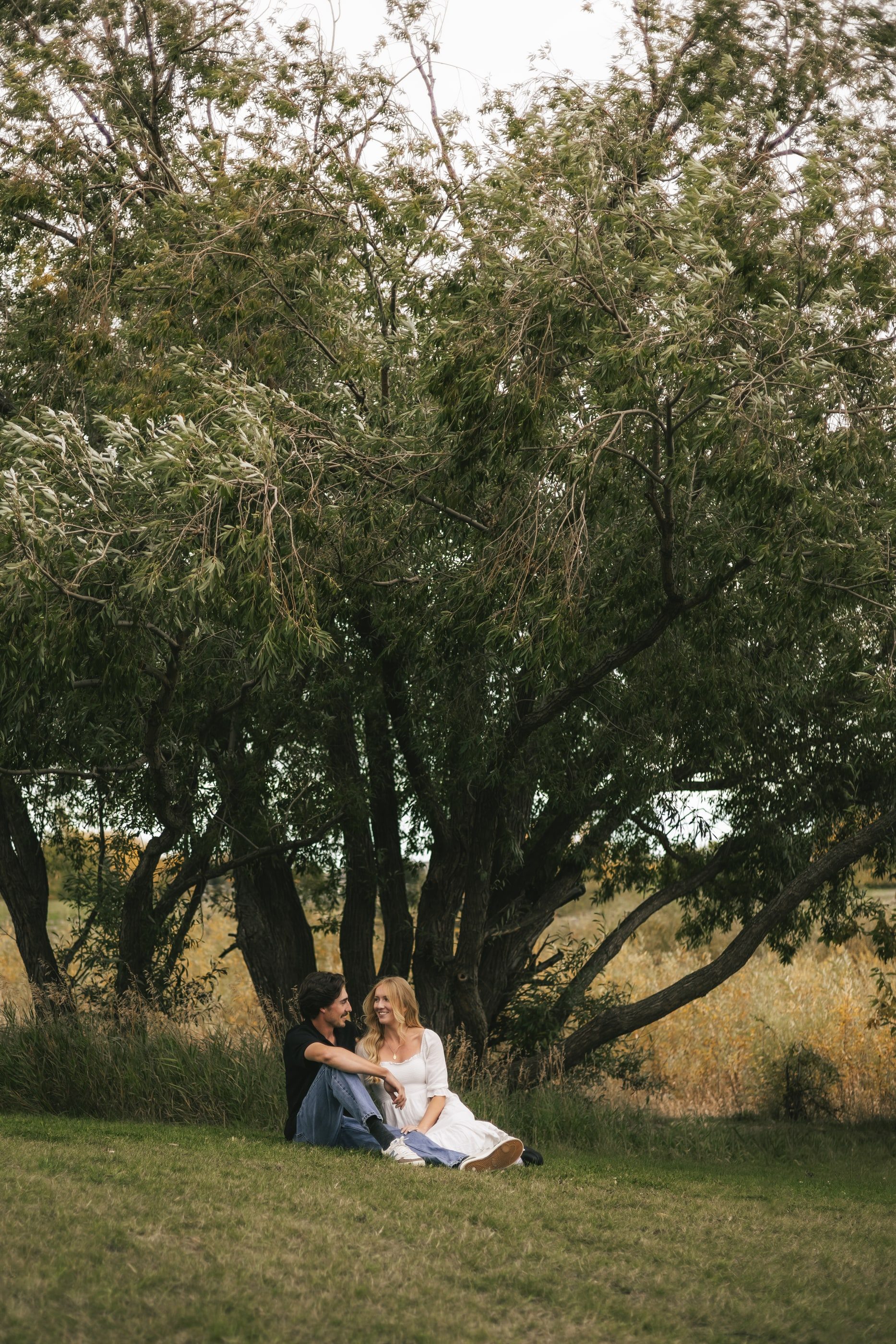 A couple sits together under a large willow tree at the edge of a field.